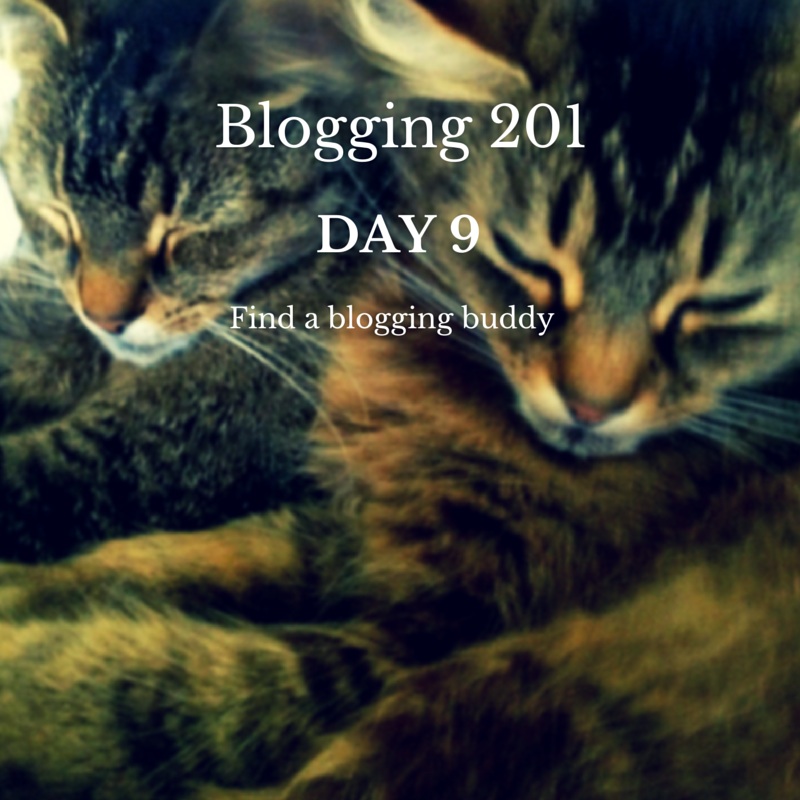 Blogging 201, Day 9 