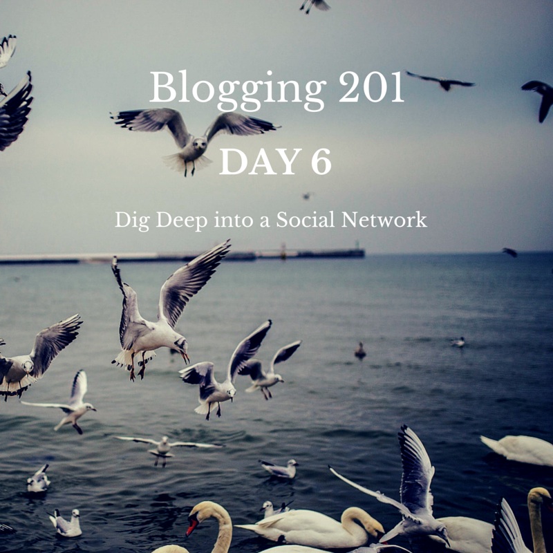Blogging 201 - day 6, Digging deep into Social Media