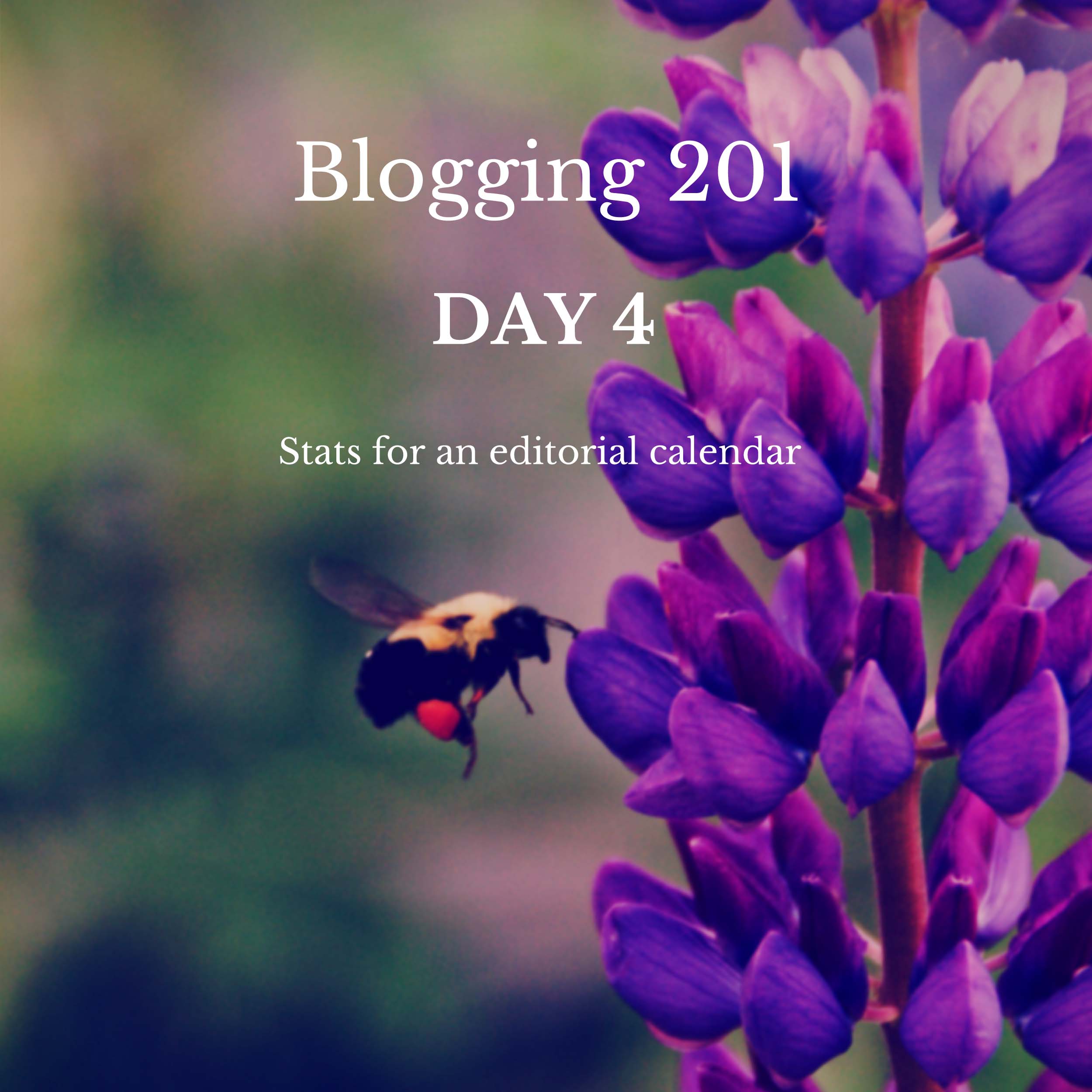 Blogging 201
